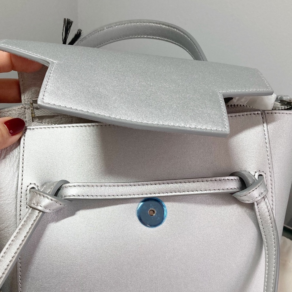 Celine Silver Nano Belt Bag Calfskin reg $2,200.00 - Picture 10 of 16